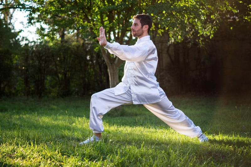 Tai Chi Mental Meditation